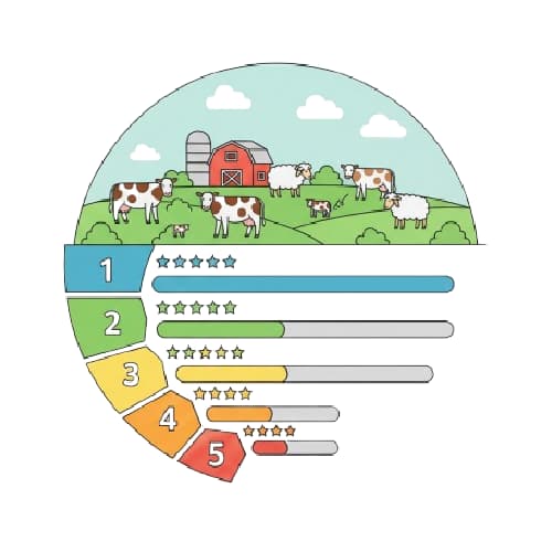 Sıralama kriterleri ve puanlama